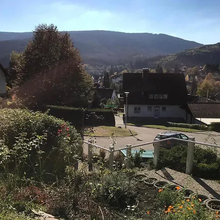 Dennenberg Appartement Titisee-Neustadt